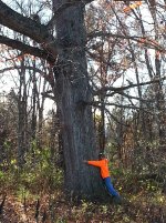 20151108_135332.jpg