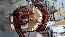Harness2.jpg