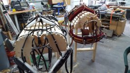 Harness4.jpg