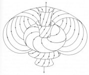 I15-56-congruence.jpg