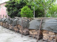 SDC10153.jpg