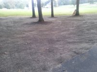 lawn.jpg lawn.jpg