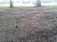 lawn1.jpg lawn1.jpg