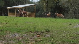 20151217_111237.jpg