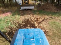 Garage tree drop 019.jpg
