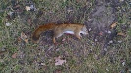 IMG_20151110_143627668.jpg