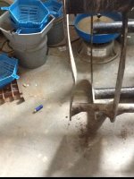 image-1986482409.jpg