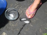 ice-experiments-on-driveway-315x236.jpg