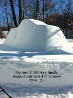 Snow storm 2016 011.jpg