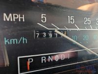 342-5.jpg