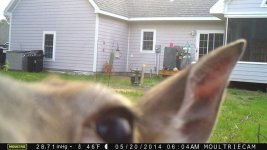 10443383_625491917546158_4201015337380900370_n[1].jpg