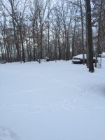 image-463372932.jpg