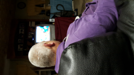 ForumRunner_20151115_205731.png