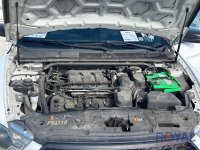25009-9.jpg