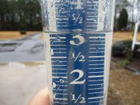 rain Feb 4.jpg