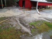 rain Feb 4a.jpg
