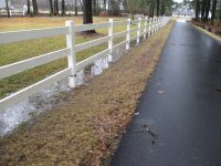 rain Feb 4c.jpg