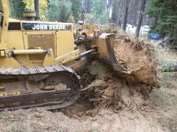 Garage tree drop 008.jpg