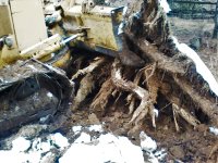 dozer stump removal 3.jpg