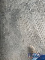 22016-34.jpg