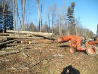 Wood pile.JPG