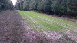 20151009_180453.jpg