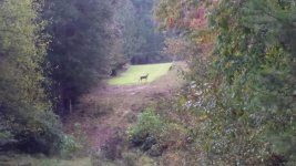 20151011_084944.jpg