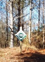 tree-farm3.jpg