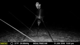 Trail camera 002.jpg