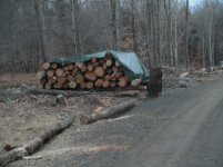 Firewood 1.JPG