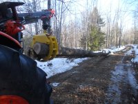DSCN7795.JPG