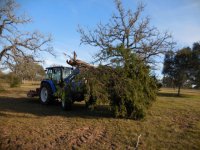 ImageUploadedByTractorByNet1455070169.165114.jpg