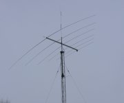 134559-1.JPG