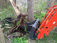 Stump bucket removing tree.jpg