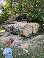 IMG_0212.jpeg