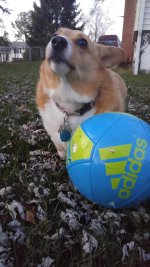 ellie2015-800x1421.jpg