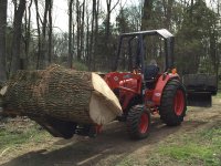Big log 3.jpg