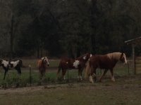 IMG_0999.jpg