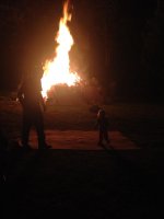 IMG_5378.jpg