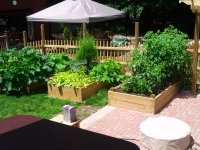 IMG_0069.JPG