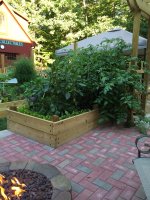 IMG_0476.JPG