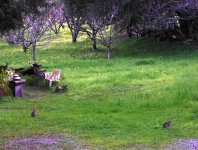 P1920261rTwoRabbits.jpg