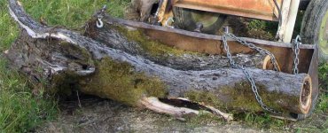 673366-IMG_3091bucket&logs.jpg