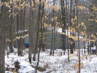 834476-Back_From_Woods.jpg