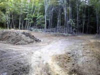 750733-IMG_0985.jpg
