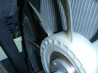 713567-IMG_0583.jpg