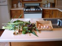 713605-backyard crop.jpg