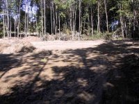750768-IMG_0995.jpg