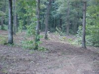 713760-MVC-914S.JPG