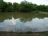 714042-pond.jpg